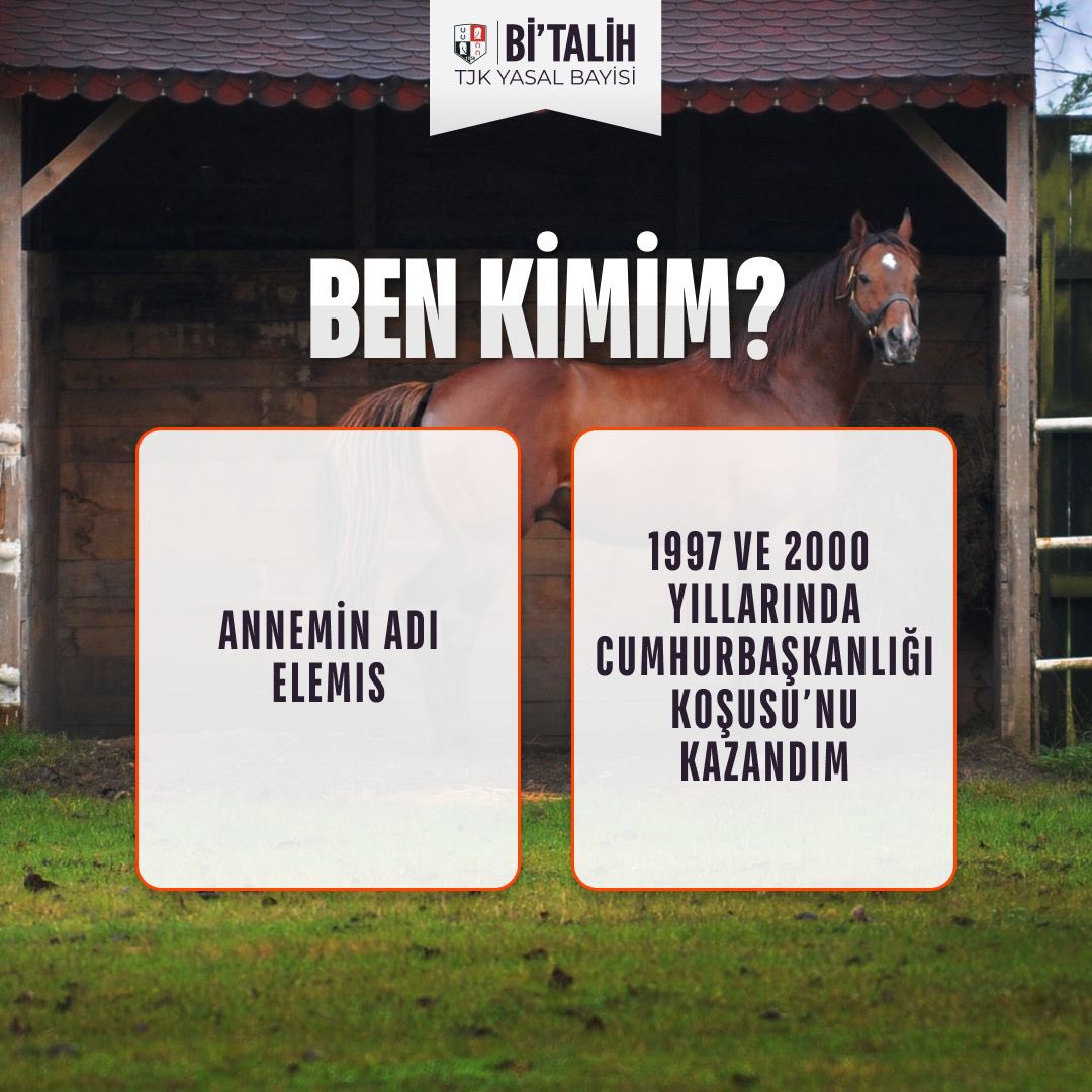 Hangi at olduğunu bulabilir misin?🤔

Doğru cevabı yaz, üye numaranla cevapla, 100 TL bonusu kap! 🎉

Doğru yanıtı veren ilk 50 <a href="/geldibitalih/">Bitalih</a> takipçisine 100 TL bonus!

Not: Kampanyadan sadece doğru cevabı veren İLK 50 <a href="/geldibitalih/">Bitalih</a> takipçisi yararlanabilir. 03.01.2026 00:00 -
