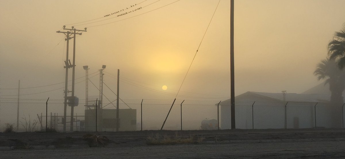 It's foggy outside today. At this time of year, I either live in Silent Hill or the dry desert :P