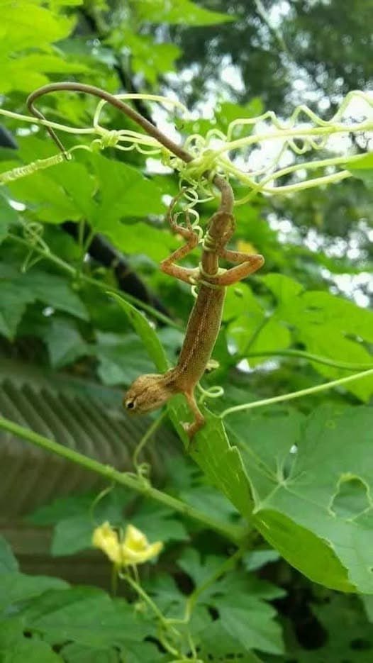 Cạm bẫy ở khắp mọi nơi, luôn đề phòng rủi ro sẽ giúp bạn trách mắc phải những sai lầm...