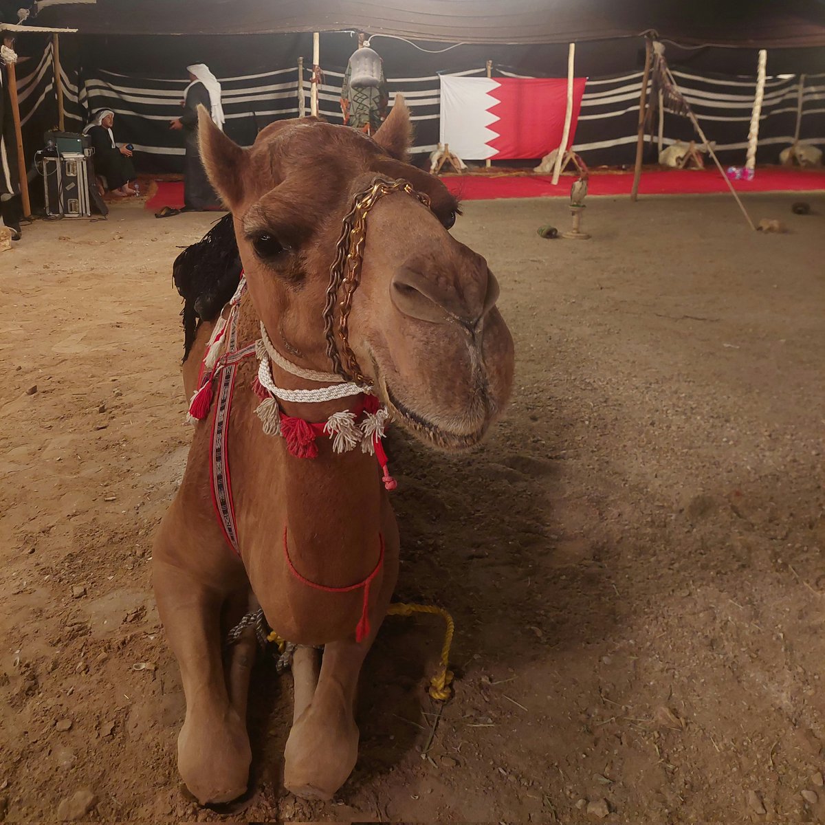 i think he is smiling