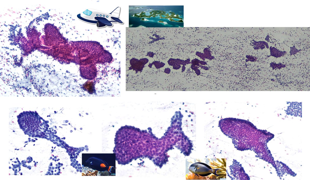 Lola Lozano tweet media