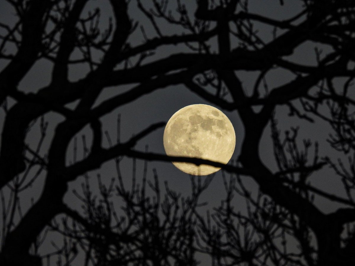 Sunset moonrise in ryhill Wakefield <a href="/kerriegosneyTV/">Kerrie Gosney</a> <a href="/itvweather/">ITV Weather</a> <a href="/KeeleyDonovan/">Keeley Donovan</a> <a href="/Hudsonweather/">Paul Hudson</a> <a href="/SimonOKing/">Simon King</a> <a href="/EmmanuelleLhoni/">Emmanuelle Lhoni</a>  <a href="/bbcweather/">BBC Weather</a> <a href="/Expwakefield/">Experience Wakefield</a> <a href="/MyWakefield/">Wakefield Council</a> <a href="/WakeExpress/">Wakefield Express</a> <a href="/journoLeanneC/">Leanne Clarke</a> <a href="/WkfdOfficial/">Wakefield Official News</a> <a href="/ThePhotoHour/">#ThePhotoHour</a> <a href="/metoffice/">Met Office</a> <a href="/katerinaweather/">Katerina Christodoulou</a> #moon #Sunset #fullmoon
