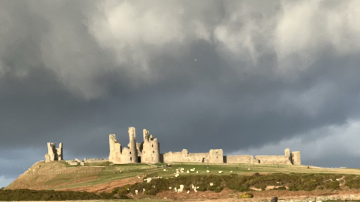 Ian Murch tweet media