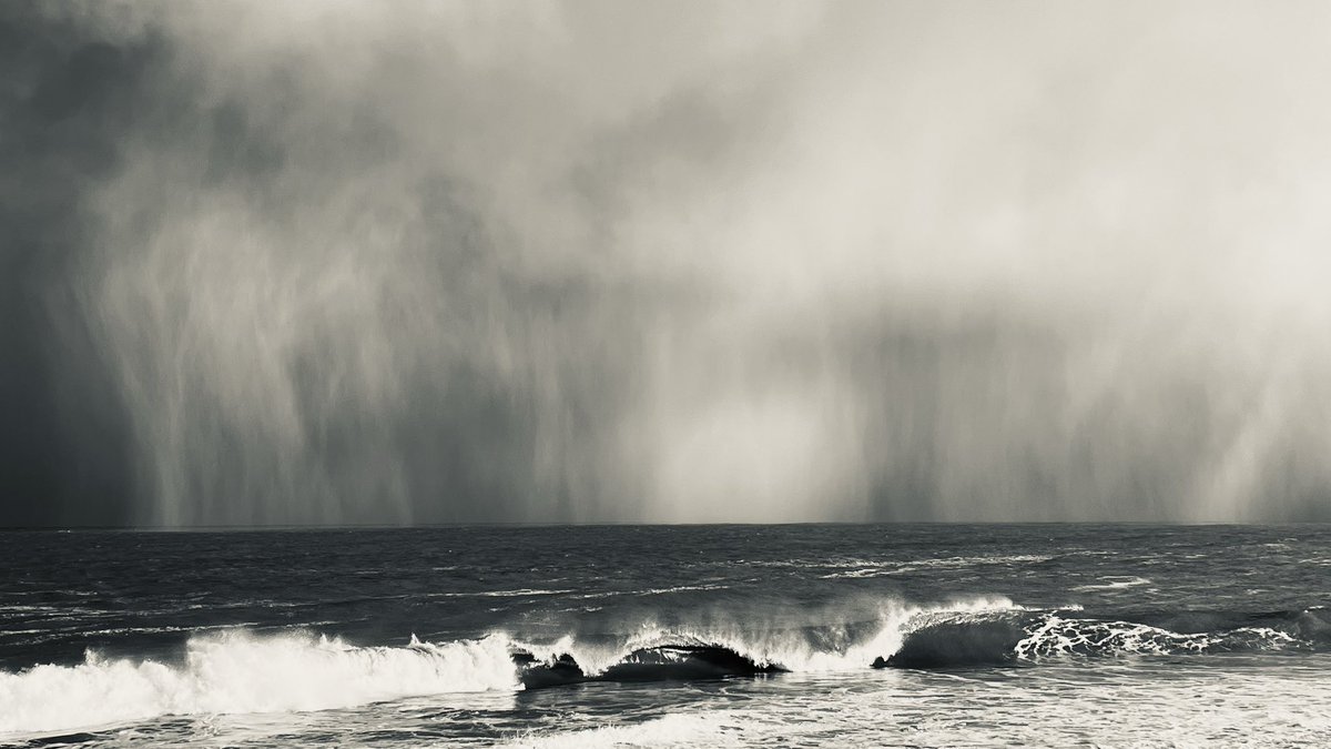 Ian Murch tweet media