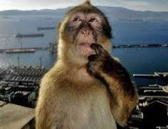 Christian Okokhere tweet media