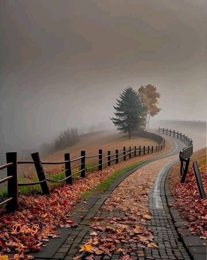 نستغفرك ربِي حين تُلهينا الدُنيا عنّ ذِكرك .