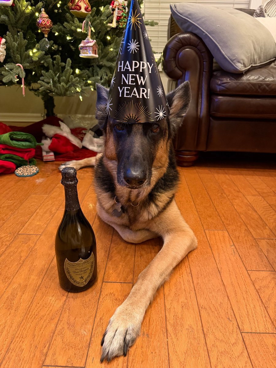 Mary Delgado @BlockchainHerd tweet media