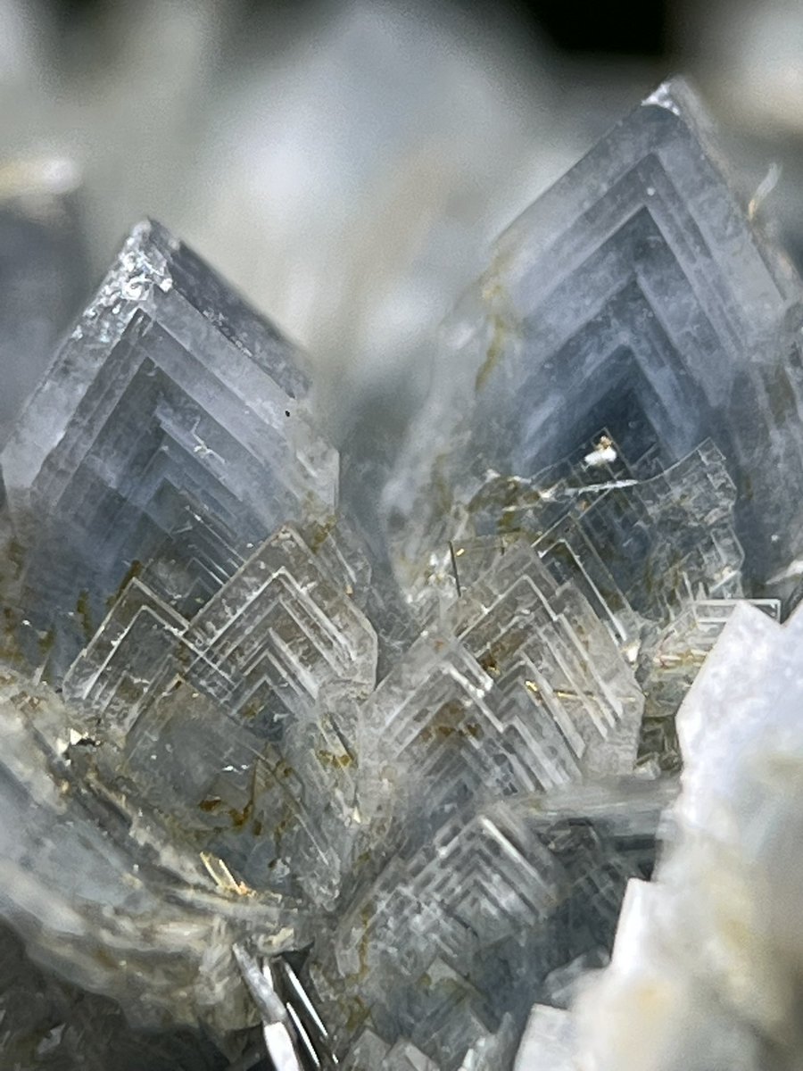 ブルーバライト