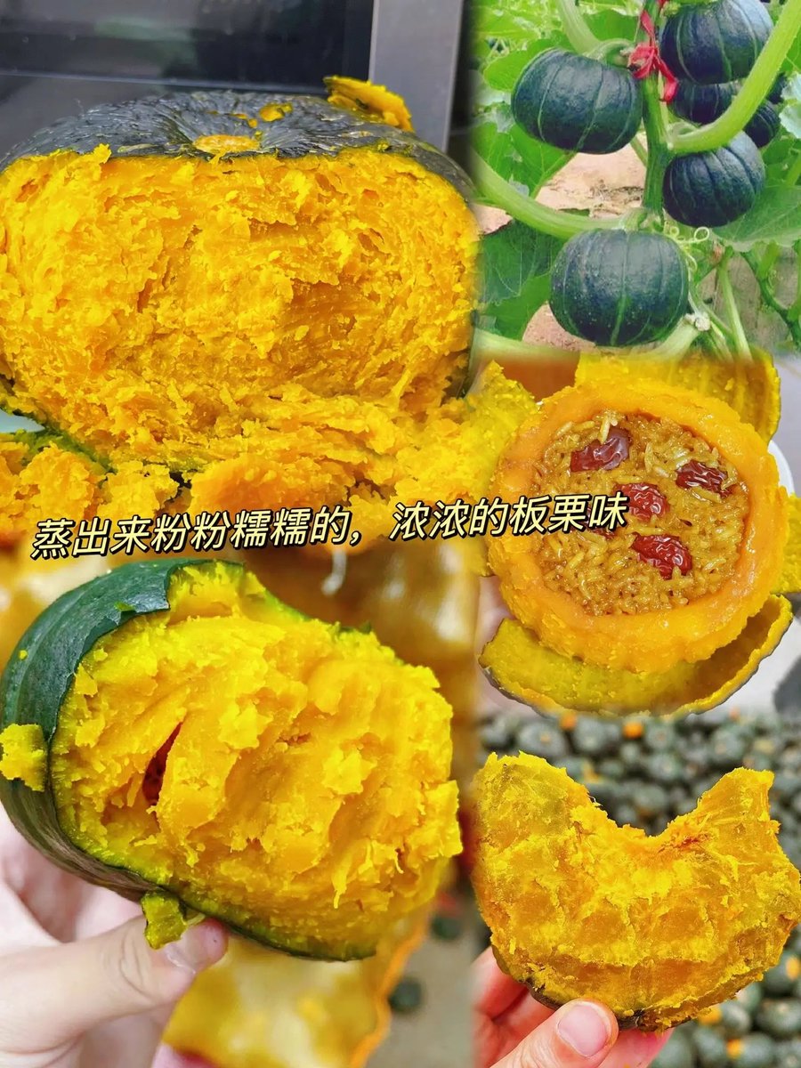 Uhrioning's tweet photo. #食材测评｜这款有机贝贝南瓜绝了！粉糯香甜像吃板栗，无筋无丝挖着吃超方便，早餐蒸10分钟搞定，减脂期当主食也超合适～ https://t.co/moFfKqrbMn