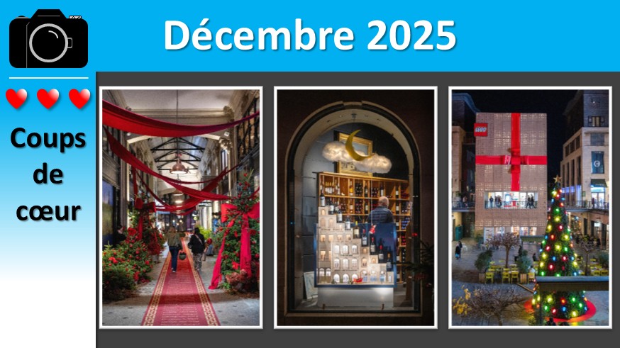 Coups de coeur #photo décembre 2025 youtu.be/Dq5nHd7Ri3M?si… via <a href="/YouTube/">YouTube</a>