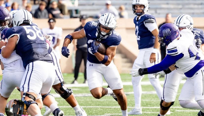 BillyDaal tweet media