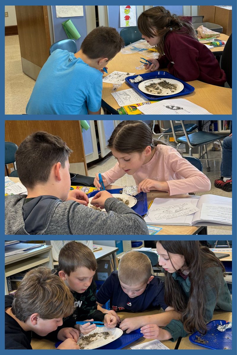 Fourth-grade students examined owl pellets in a science lesson, learning about food chains, ecological interactions, and predators' roles. These regurgitated remnants, containing bones, fur, and feathers, revealed the owl's diet and nature's balance.