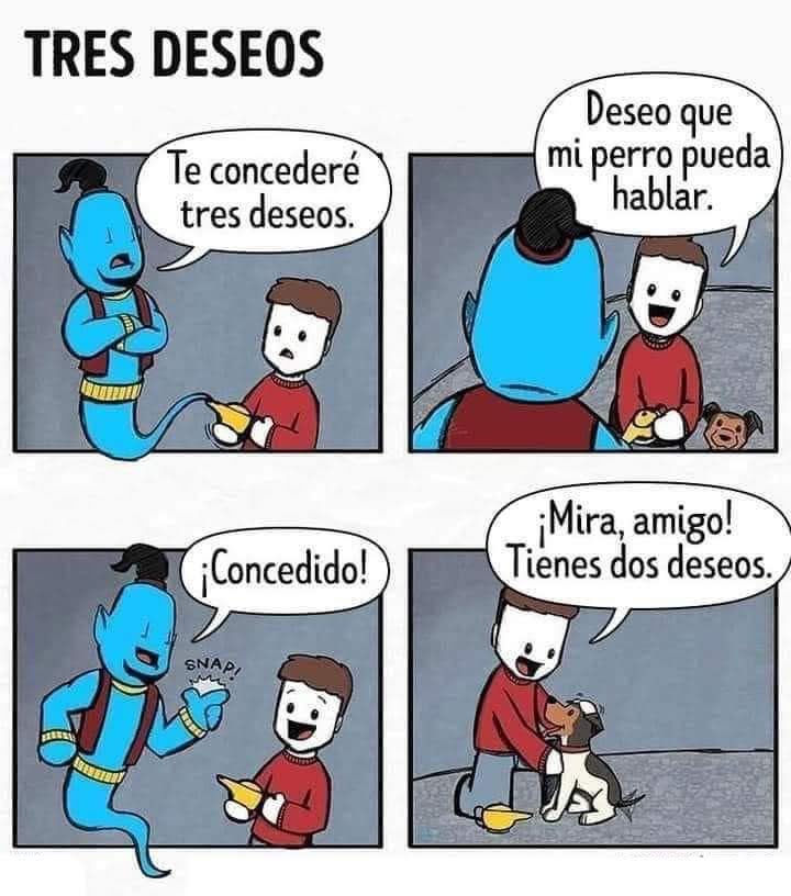 Dilo con perritos (@diloconperritos) on Twitter photo 