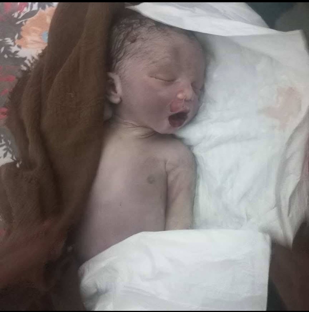 bombalarla katlediyor, hem de soğuktan donarak ölmelerine sebep oluyor hem de onları yemeksiz bırakarak açlıktan ölmesine sebep oluyor🥀🇵🇸

Lütfen Gazze için İnsanlık için bu etikete destek verin👇

#LetGazaKidsGrow
Gazzenin Çocukları Yaşasın