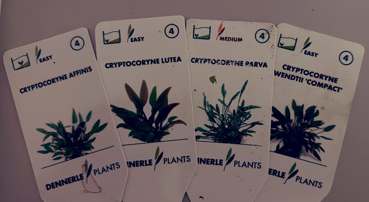 My crypto portfolio 😅