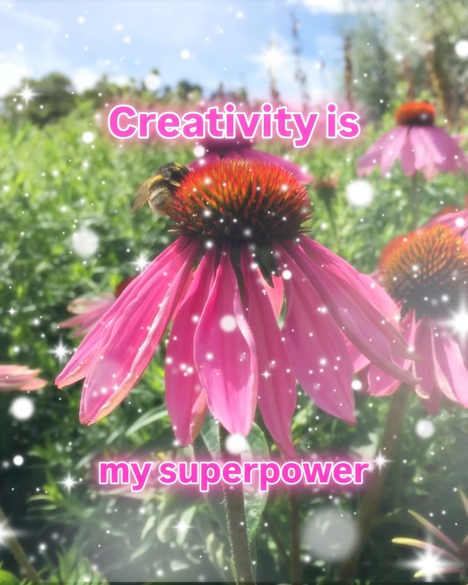 Instagram tweet media