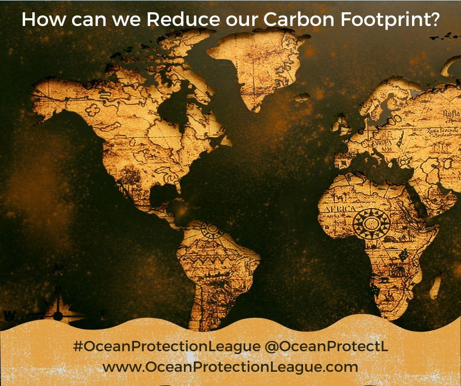 How can we reduce our carbon footprint? buff.ly/4abdSz8 

#OceanProtectionLeague #SaveTheOcean #ocean #beach #nature #sea #travel #love #sky #water #climatechange #Sustainable 🌊 🐟 🪸 🦈