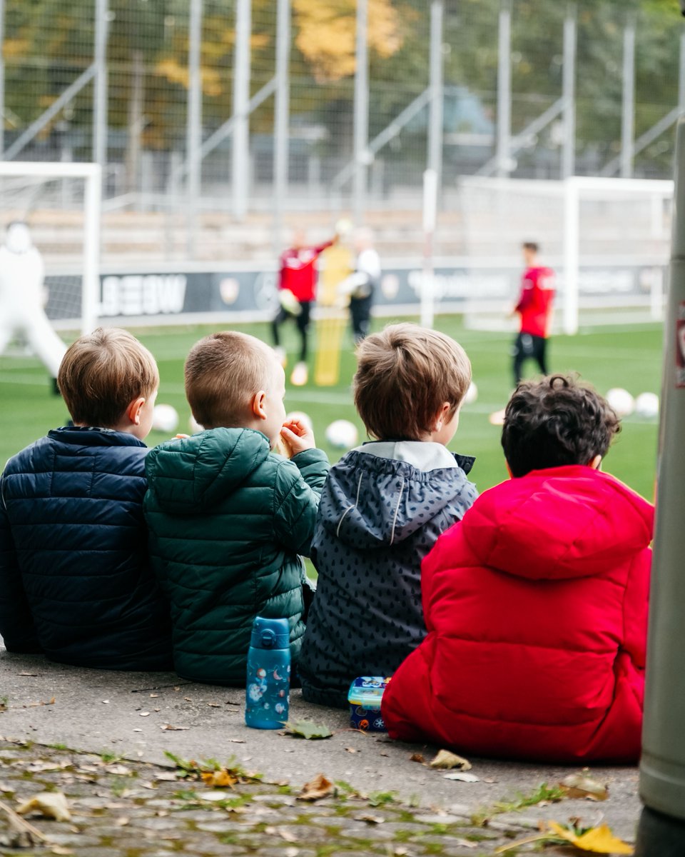 VfB Stuttgart 1893 tweet media