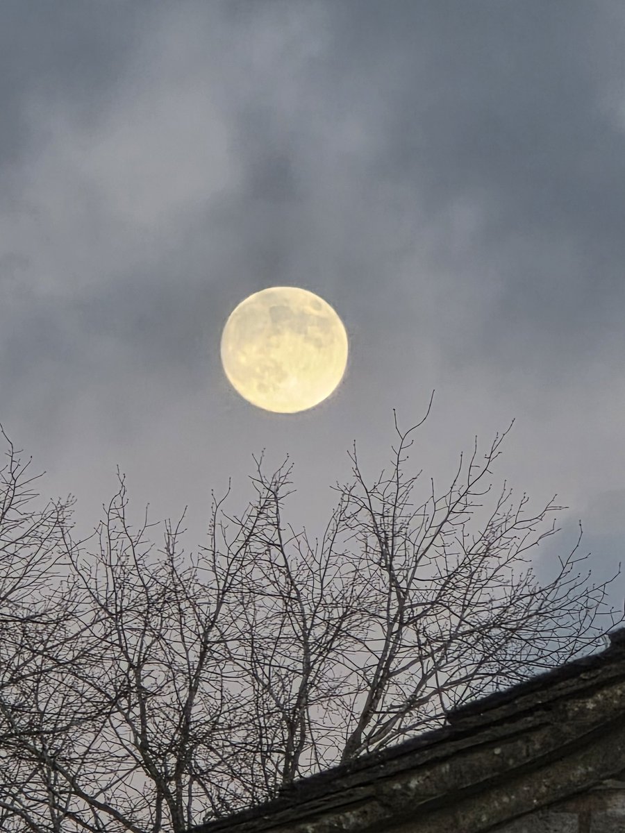 CrownRoseMaria's tweet image. Omg I love my Samsung S25 Ultra phone... the camera on this thing is amazingggg. Look at the pretty moon 😍😍