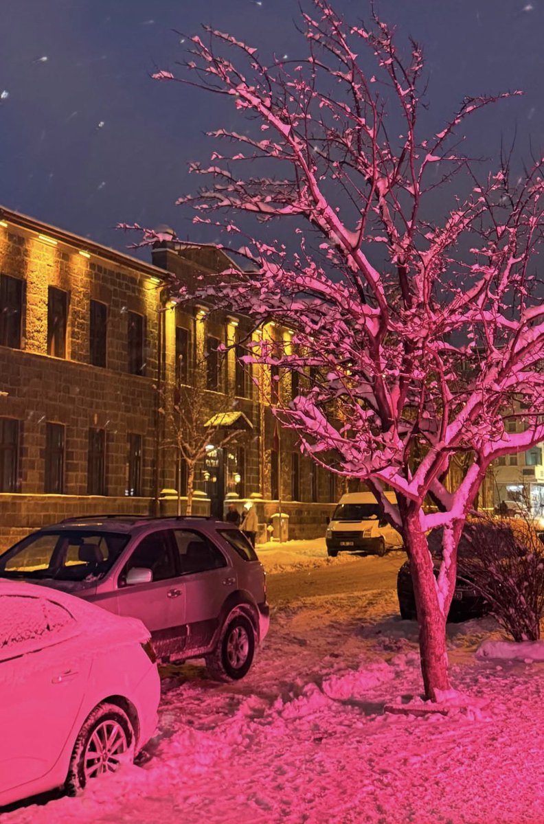 Birkan Turan (@birkanturan15) on Twitter photo 