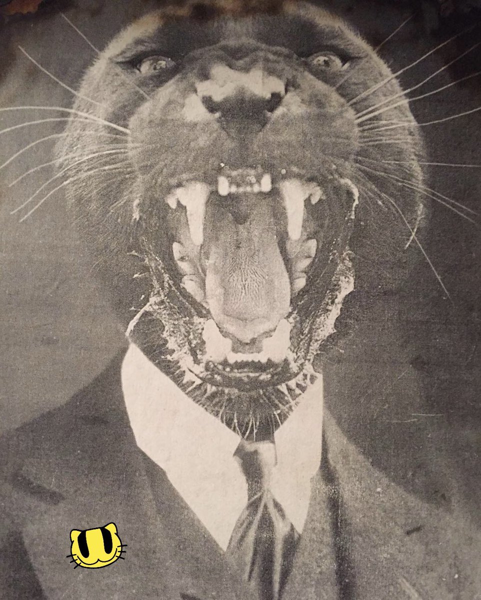 2026: Become extreme. Speak without fear. Reality is water, and your will is the vessel; the greater your ambitions, the more power will flow to you; the wind will embrace you &amp; the grass will curl lovingly around your feet, knowing that you are  chosen by God