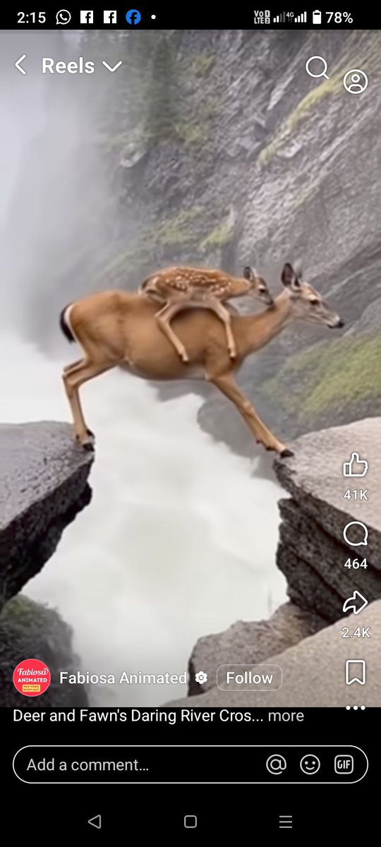 سنڌ ۾ ٻن سالن دوران خلع جي ڪيسن ۾ ۴٦ سيڪڙو واڌ، شادين جي ناڪامي ۾ اضافو؛
٢٠٢٢ع دوران >١ هزار عورتون ڪورٽن ۾ پهتيون.
(٢٠٢٣ع)