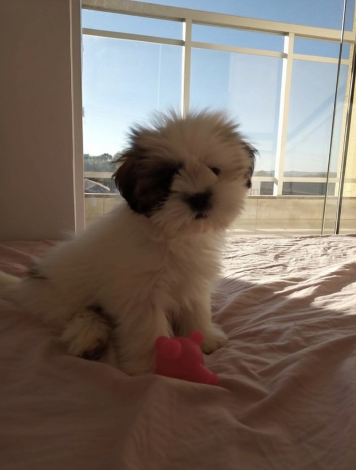 debs ⊹ ࣪ tweet media