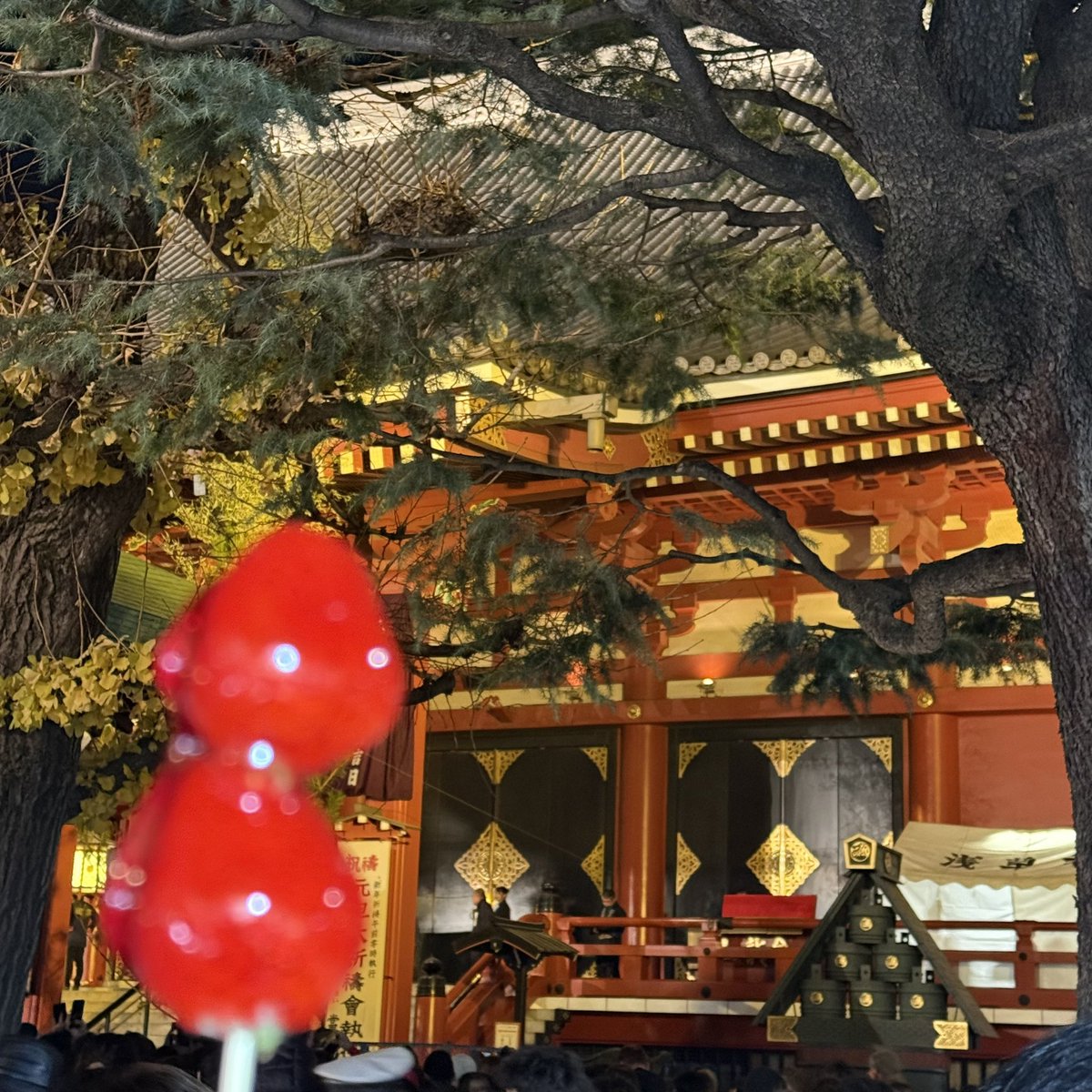 YangJinn080's tweet photo. 愿新年的阳光打在你脸上 今冬借明冬还 月月年年不分开 新年快乐 https://t.co/3qvJgObmmv