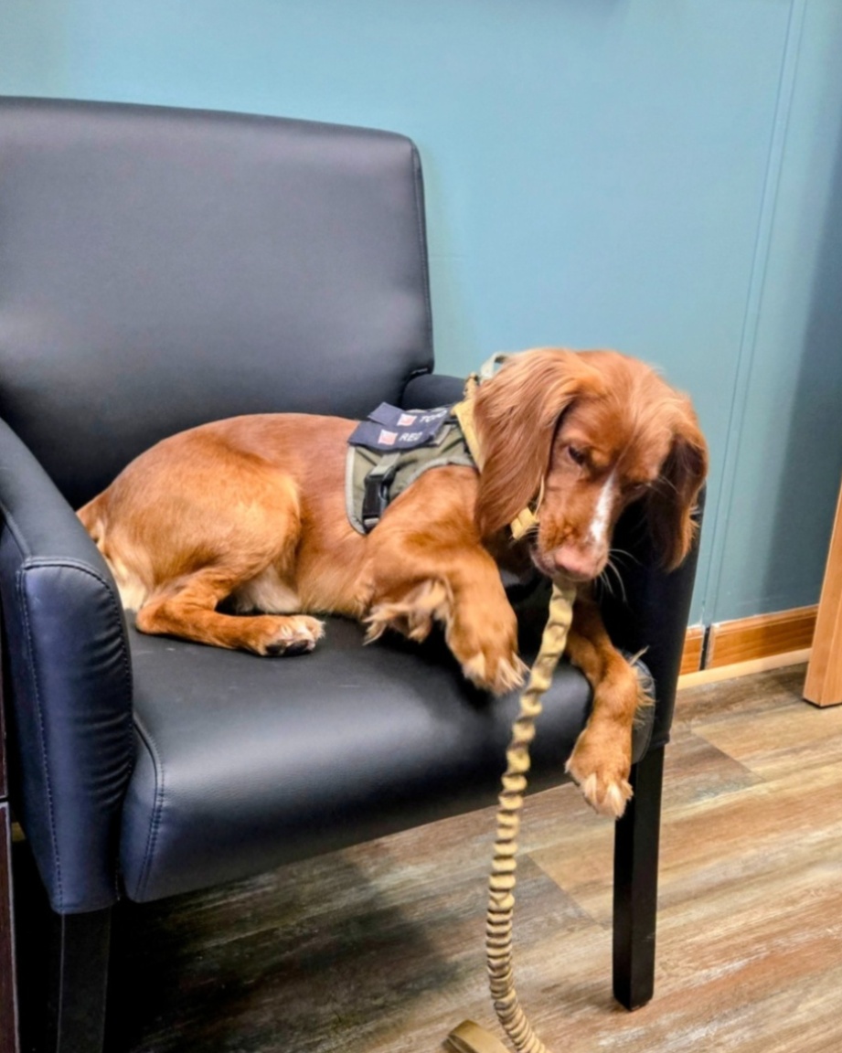 Taylor County Sheriff's Office tweet media