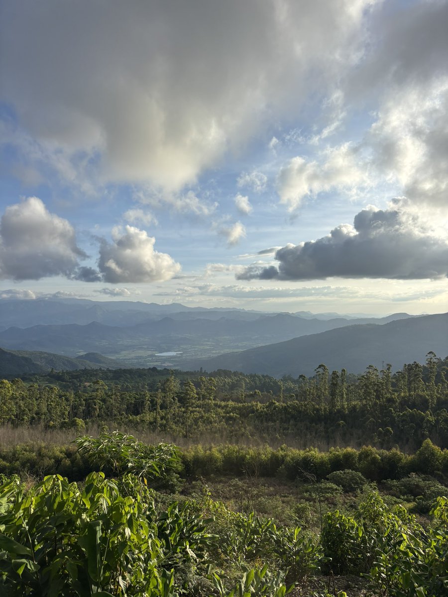 Kurlyaffair's tweet image. Bvumba is such a special place, I will keep returning….⛰️⛰️🇿🇼