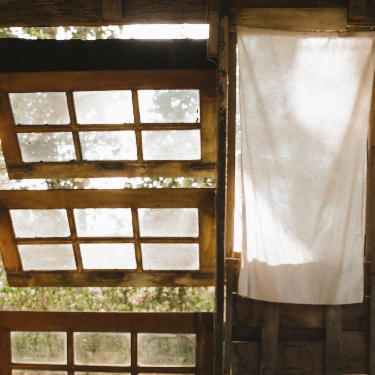 Тело оказалось шокировано теплом и количеством света, поэтому дропнуло веснушки. Я их у себя не видел несколько лет.