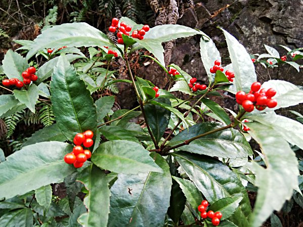 占いサロン順震(原宿当たる占い師5選、ヤフー占い売上No1占い師）1/4