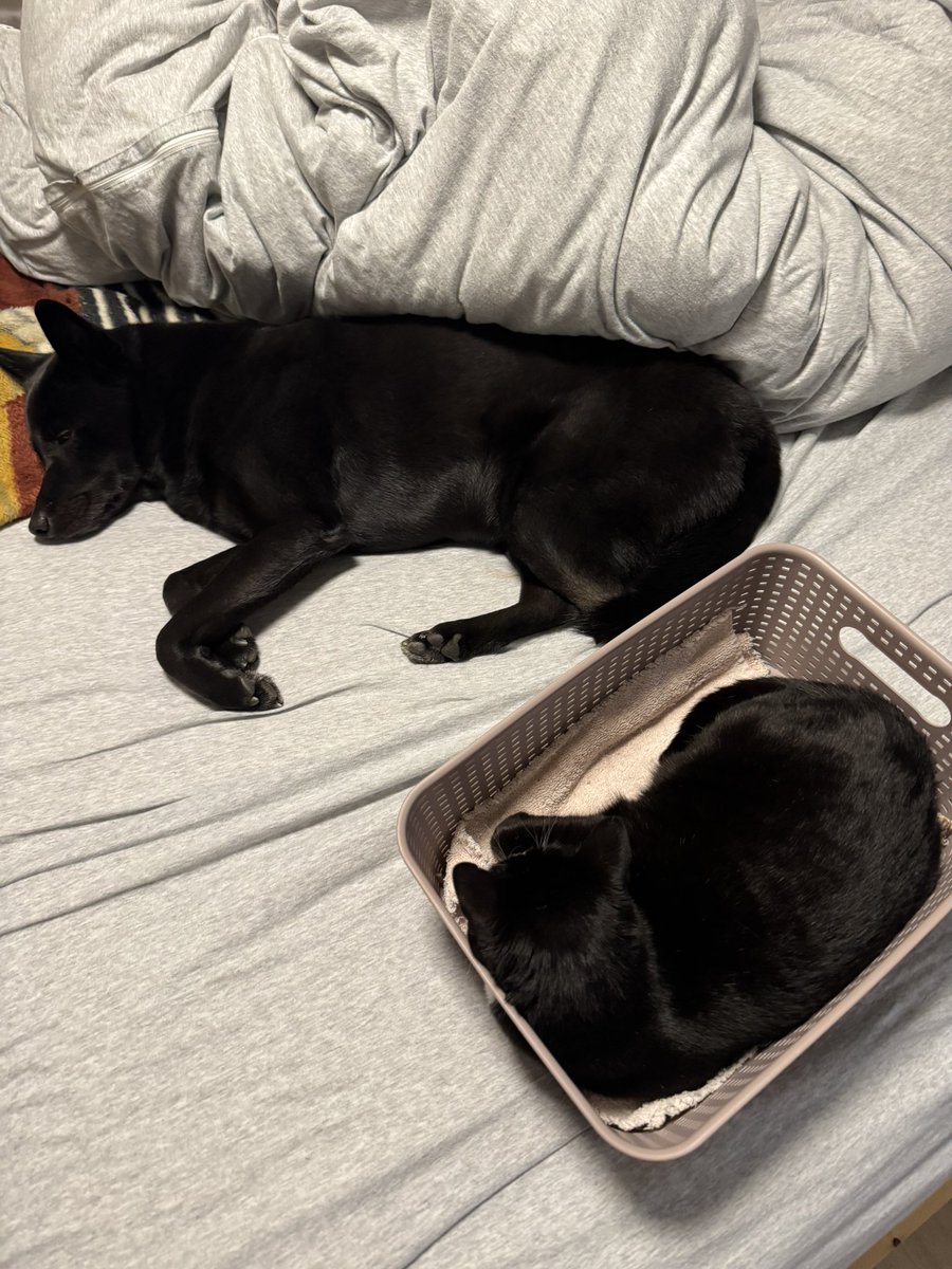 귀여워 헉 3시다