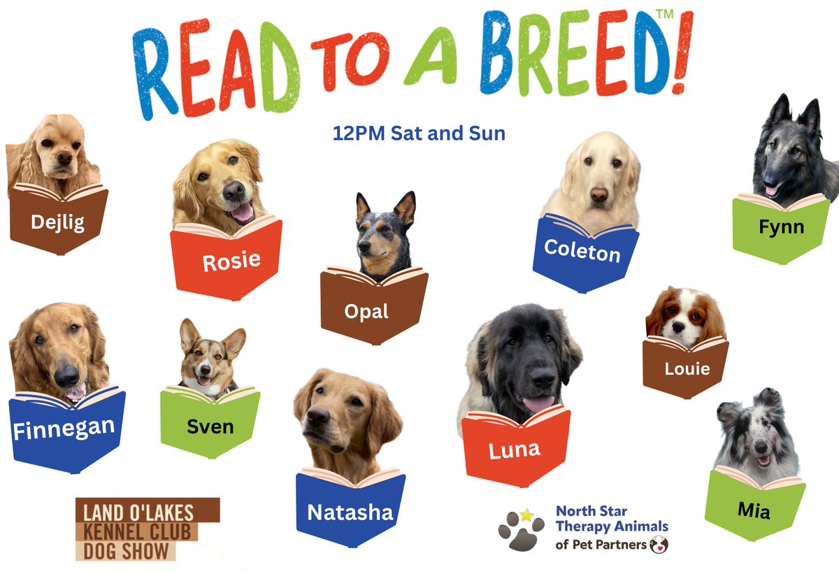 North Star Therapy Animals of Pet Partners tweet media