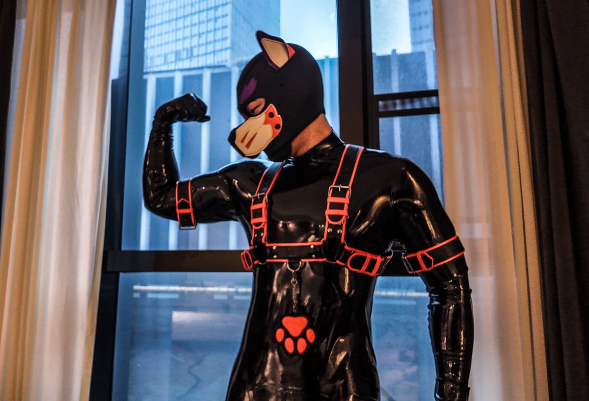 🐕戴一下臂环
结果一曲臂就滑走～哭哭

装备：<a href="/Gibbon_Black/">GibbonBlack_CN</a> 

#latex #rubber #puppy