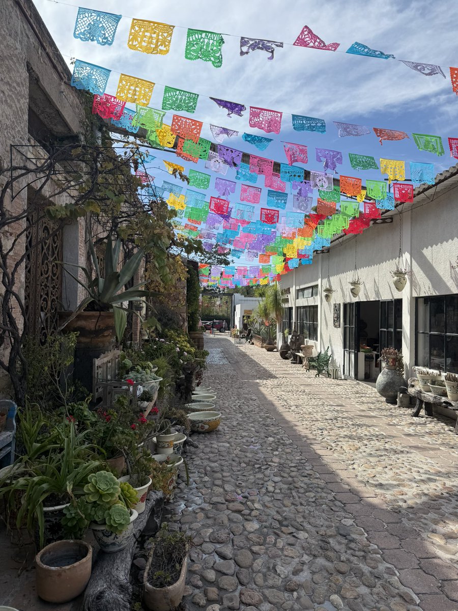 なんか…もしかして…想定してなかったけど…メキシコってめちゃくちゃ私