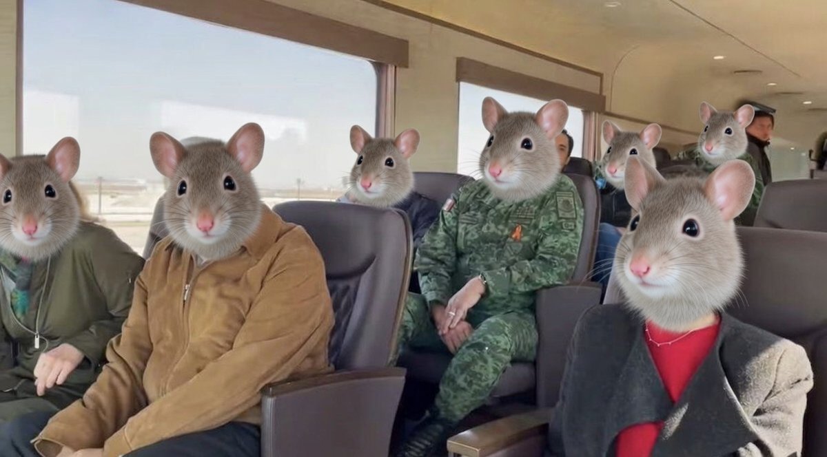 <a href="/deniseramosm/">Denise Ramos 👠</a>