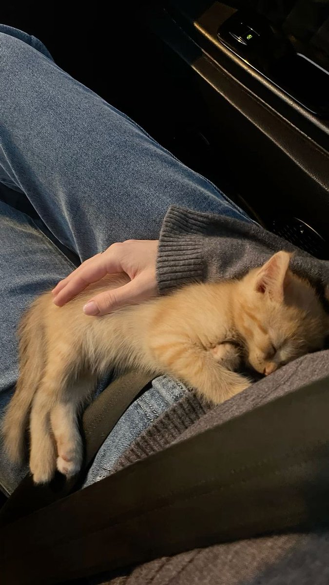 sorrrowfull's tweet image. 