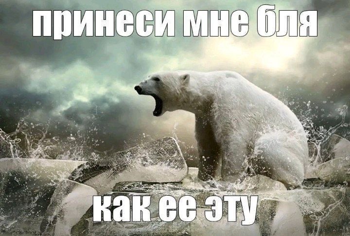 носитель языка: