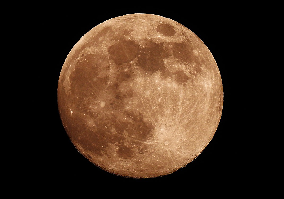 Nigey`s Wild Walks tweet media