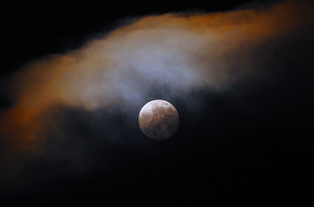 Nigey`s Wild Walks tweet media