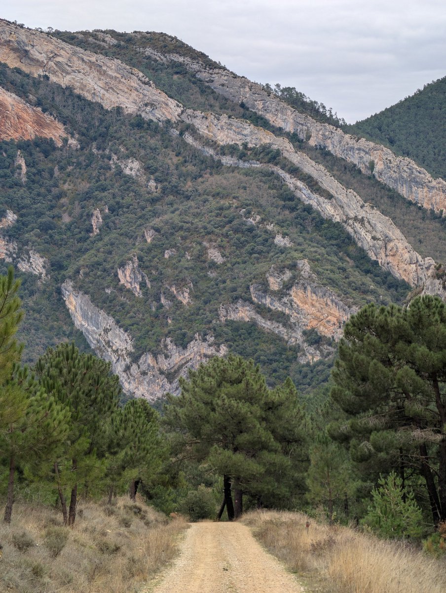 Comparto la ruta de hoy en bici de gravel por Merindades. Una auténtica maravilla para disfrutar de un gran día de cicloturismo. Las pistas están en perfecto estado. Dejo por aquí el track y algunas fotos en este hilo. Os animo a descubrir este tesoro strava.app.link/yI72YfIEBZb