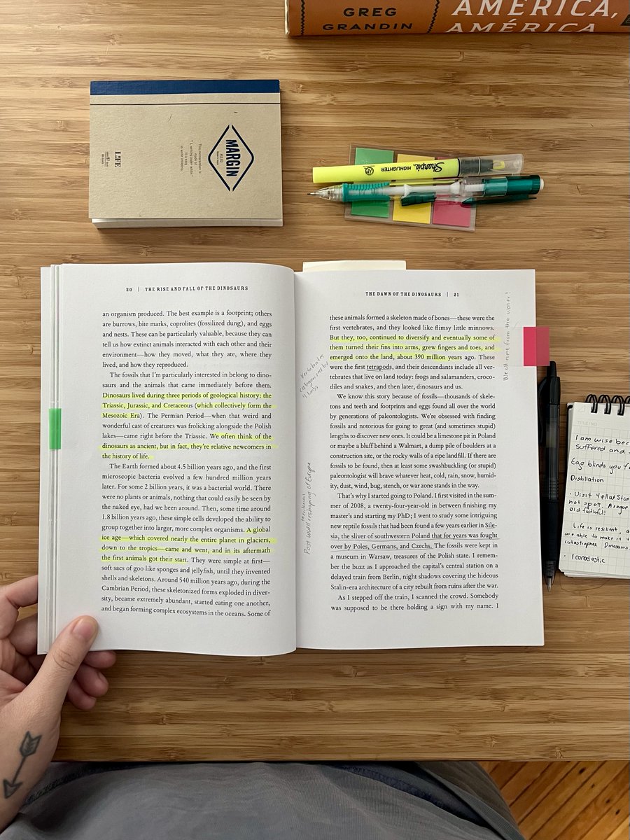 Gwyneth Peña-Siguenza tweet media