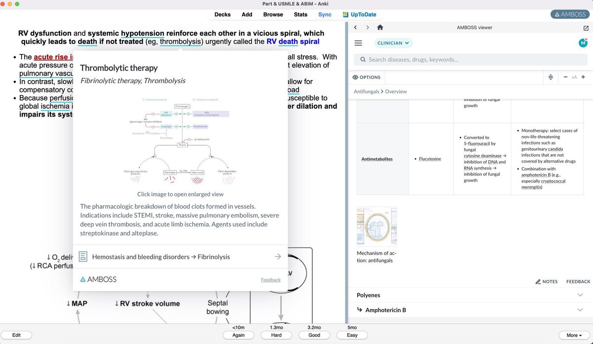 md1talk's tweet image. سنة 2026 

اللي باقي ما جرّب أنكي (Anki) عشان يقلّل نسيان المعلومات، أنصحه يجرّبه معنا !