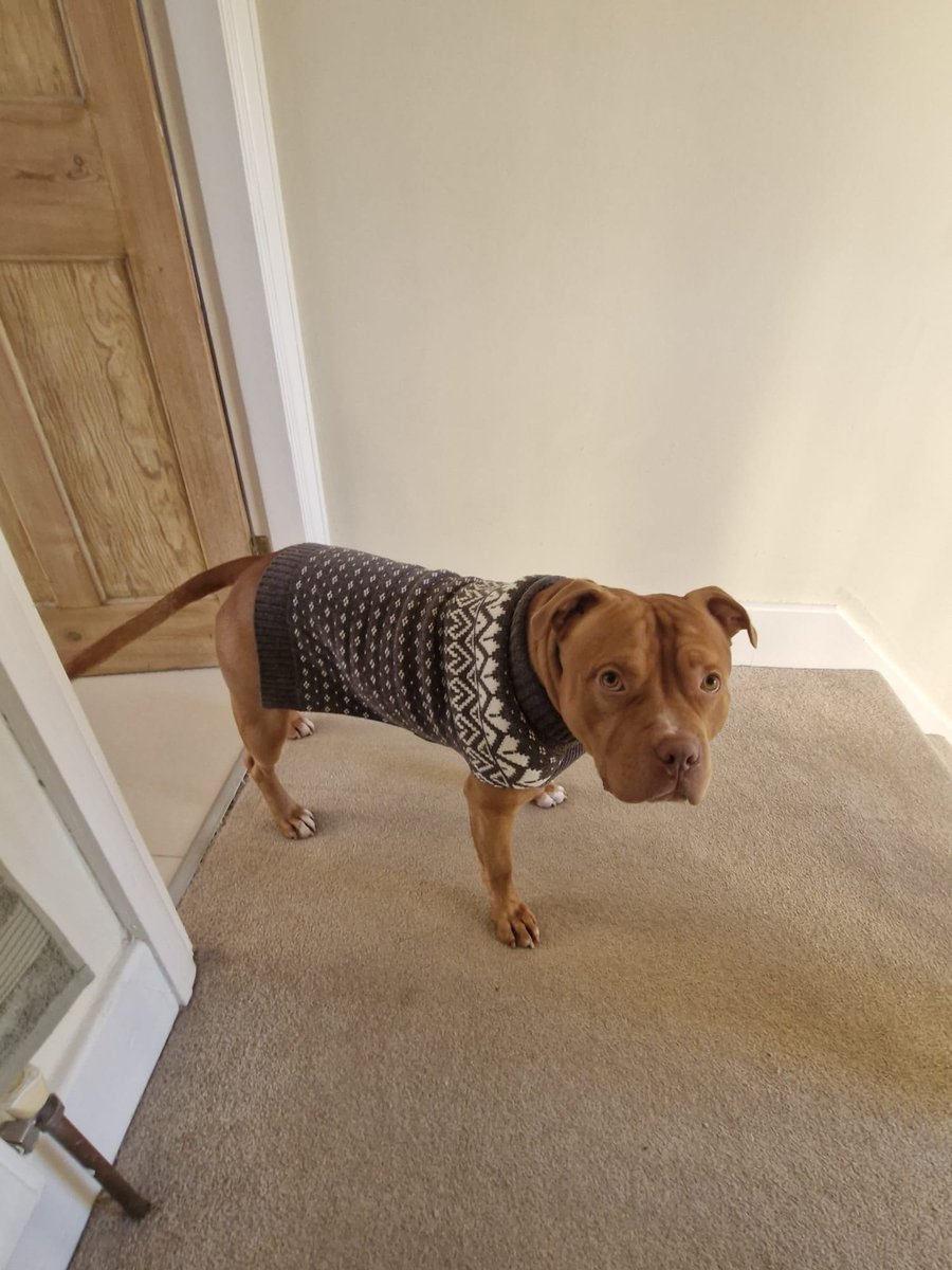 Neptune... #ADOPTED!! 💜🥹💜