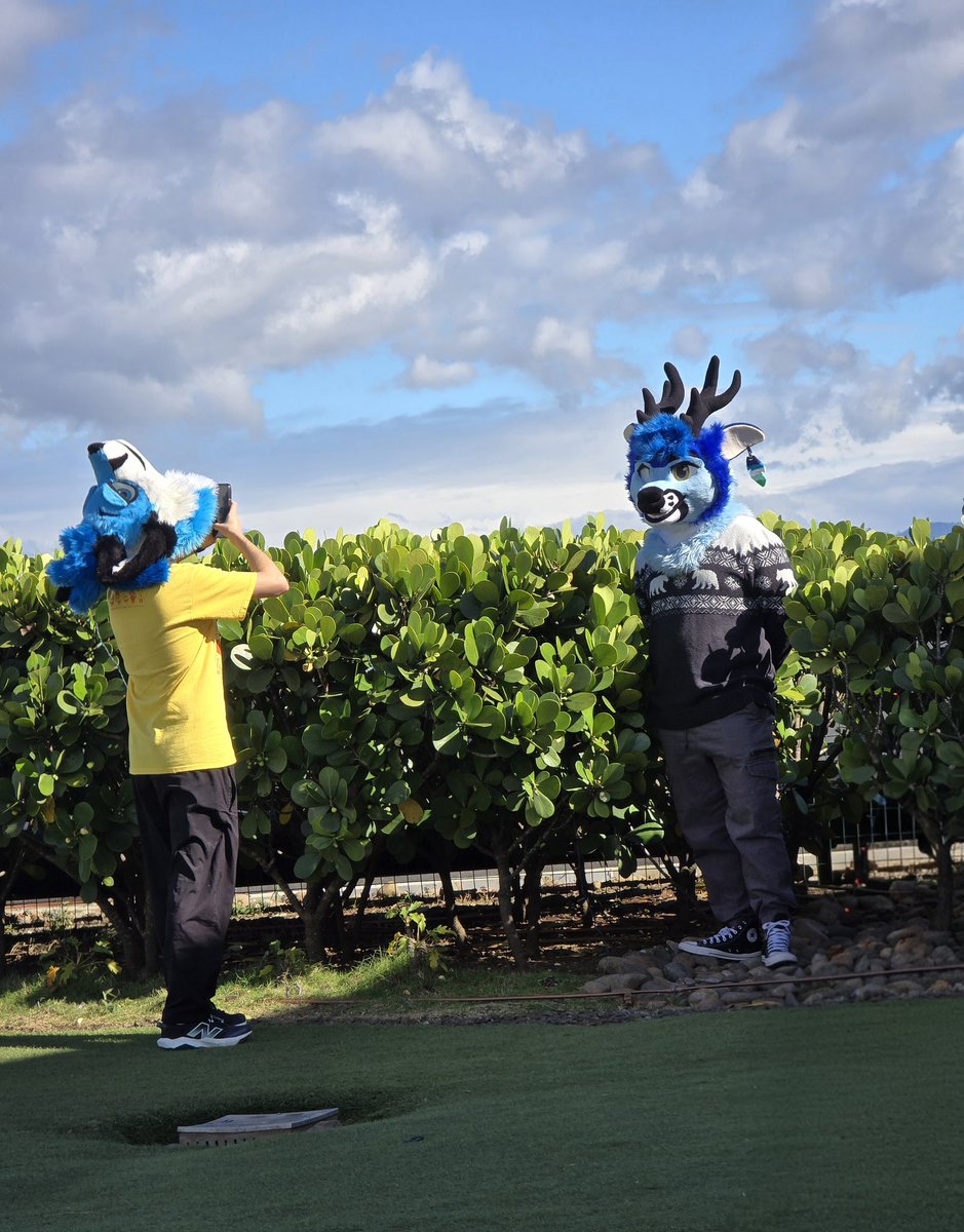 La foto 📸
La foto 📸 de la foto 📸 (?