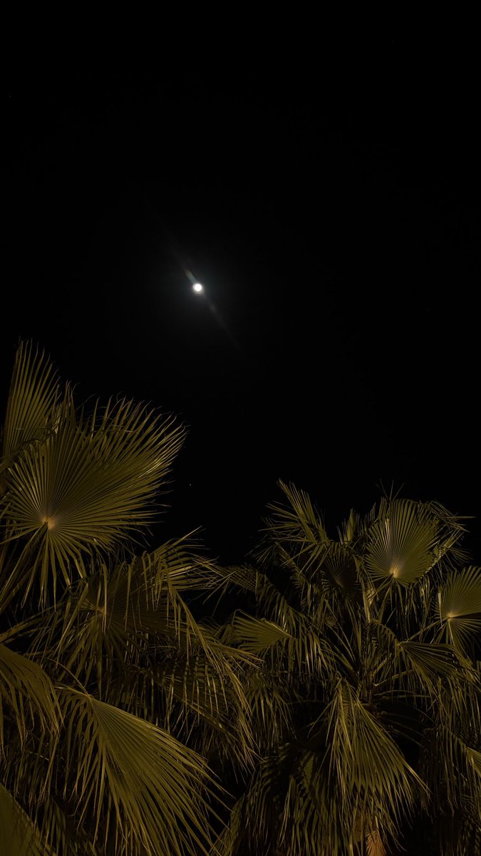 زياد tweet media