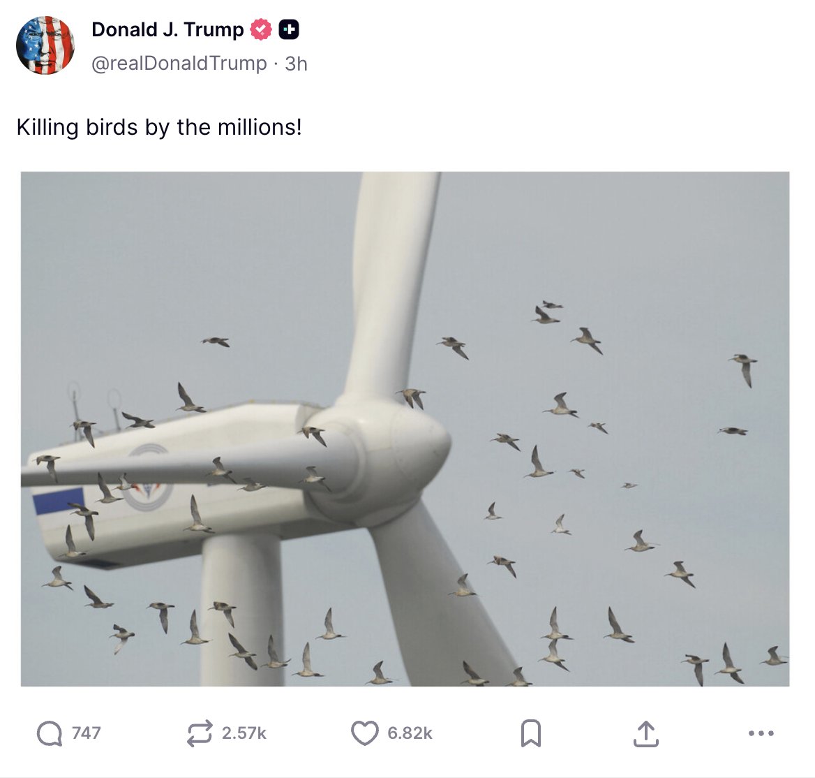 Number of Birds Windmills Kill in America Annually: 500,000

Number of birds the Oil Industry kills annually: 4,000,000

Number of Chickens Humans eat annually, 70,000,000,000