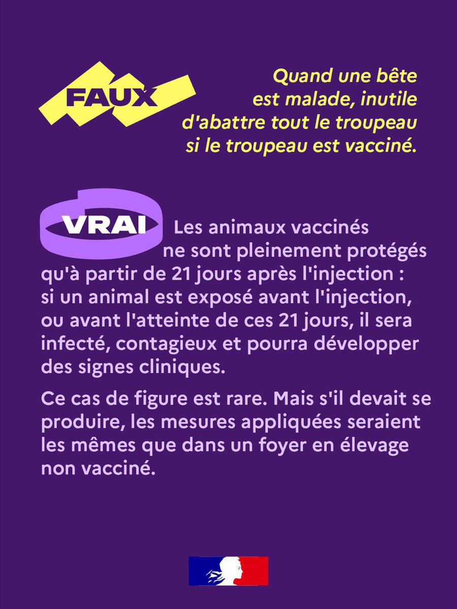 Halte aux fausses informations ⚠️

La France lutte contre la dermatose nodulaire contagieuse des bovins (DNC) avec une stratégie qui a fait ses preuves dans la région Auvergne-Rhône-Alpes. Pourtant, de fausses informations circulent.

On démêle le vrai du faux ⤵️