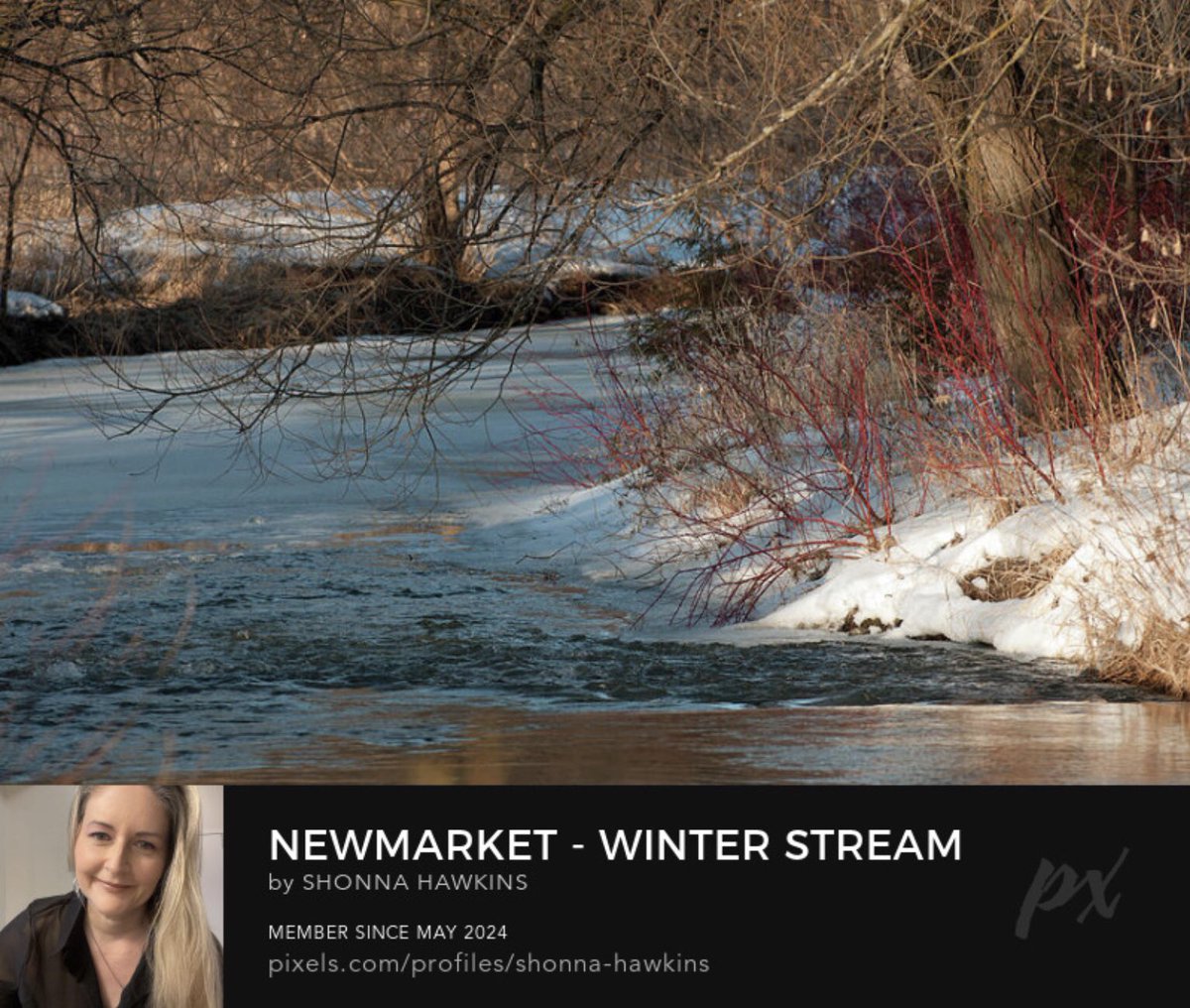 shonna99784's tweet image. Newmarket - Winter Stream With Bare Trees  shonna-hawkins.pixels.com/featured/newma…

#Newmarket #WinterStream #WithBareTrees #RedBranches #ShonnaHawkinsPixels #ShonnaHawkinsPhotography